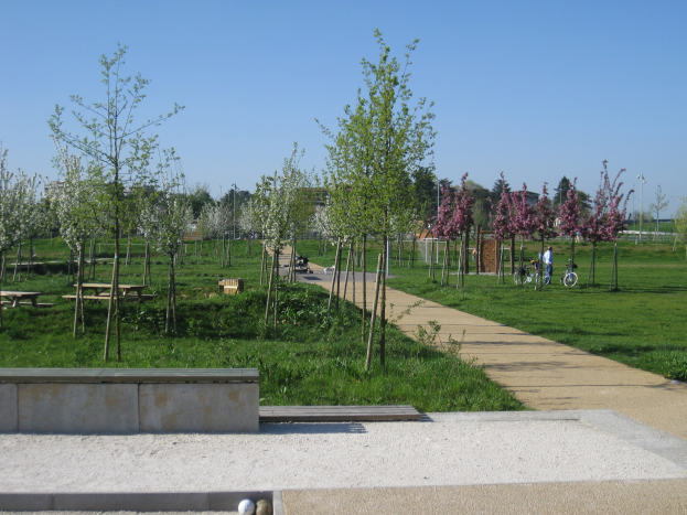 Ein Parkweg mit Bäumen und Bänken gesäumt, Menschen auf Fahrrädern, Gebäude im Hintergrund und ein klarer blauer Himmel über saftig grünem Gras.