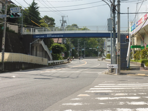 Stadtstraße mit einer Fußgängerbrücke darüber, Fahrzeuge auf der Straße, Strommasten mit Drähten, Verkehrsampeln, Schilder, Gebäude mit Fenstern, Bäume, Pflanzen und ein Himmel im Hintergrund.