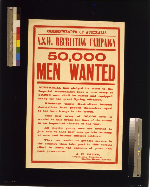 Plakat mit schwarzem Text, der "N.S.W. Recruiting Campaign 50,000 Men Wanted" auf einem weißen Hintergrund zeigt, in Schwarz gerahmt.