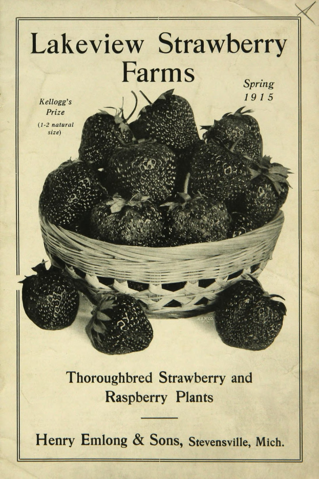 Plakat aus dem Frühjahr 1915 für Lakeview Erdbeerfarmen, das eine Schale reifer roter Erdbeeren und den Text "Zuchtstamm Erdbeeren und Himbeeren" zeigt.