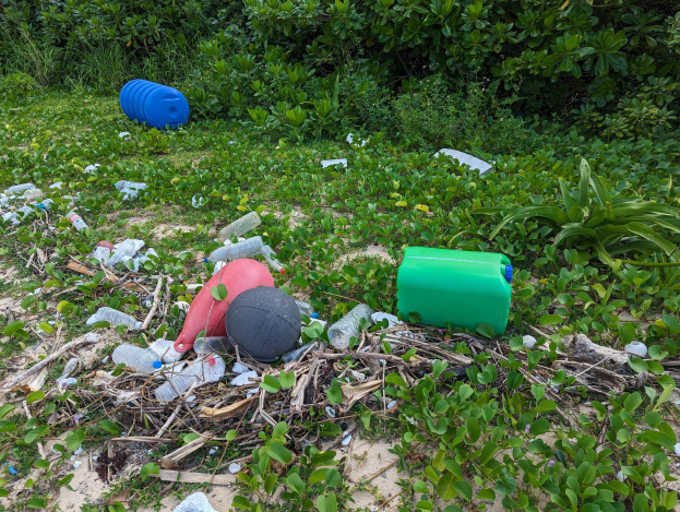Ein Strand voller Plastikflaschen, Dosen und Trägern, mit Vegetation im Hintergrund.
