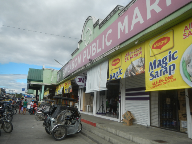 Eine belebte Stadtstraße mit geparkten Fahrzeugen, Fußgängern, Gebäuden, Strommasten, Bäumen und einem bewölkten Himmel, mit einem Geschäft mit der Aufschrift "Bongabon Public Market" im Vordergrund.
