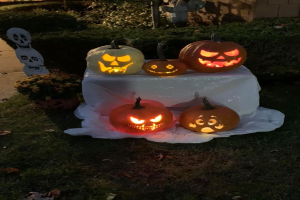 Eine Gruppe von geschnitzten Kürbissen auf einem weißen, tuchbedeckten Tisch, umgeben von Gras und trockenen Blättern, mit Pflanzen, Bäumen und einer Wand im Hintergrund, die eine gruselige Halloween-Atmosphäre schafft.