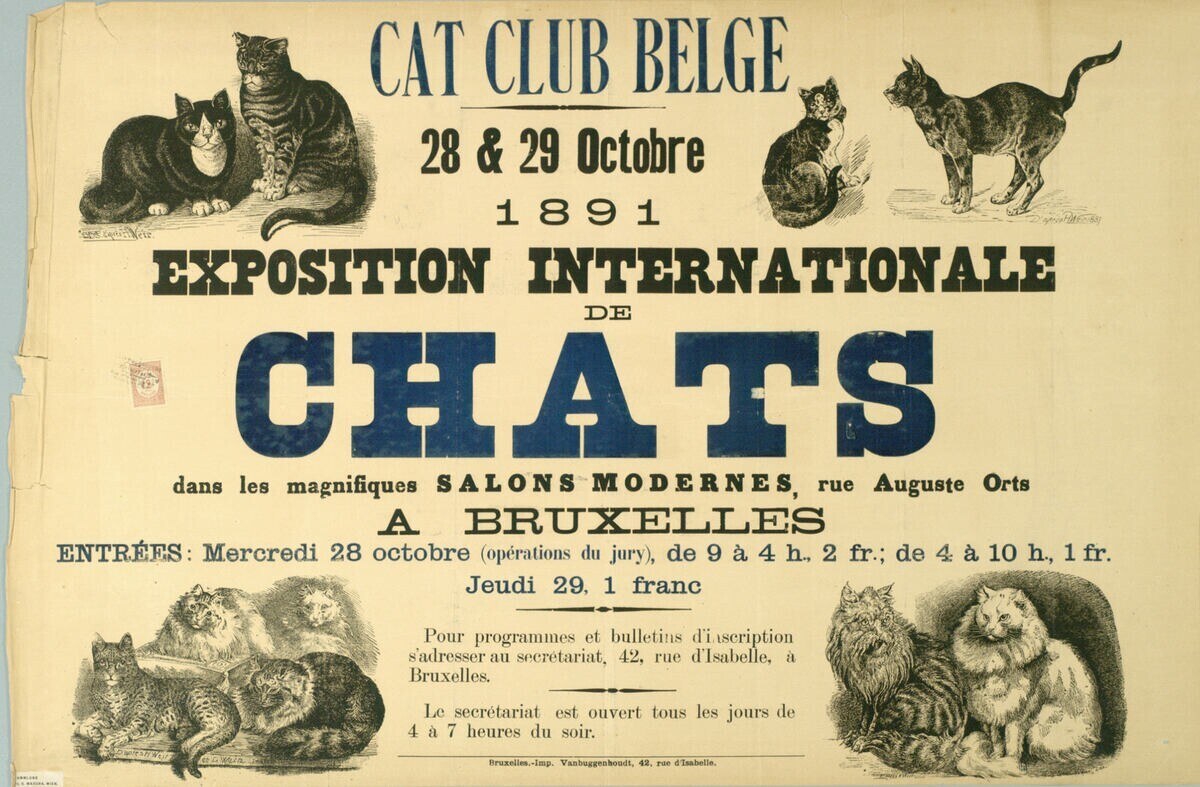 Katzen: Die stylischen Stars der Politik, Mode und Film