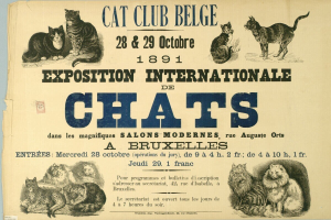 Katzen: Die stylischen Stars der Politik, Mode und Film