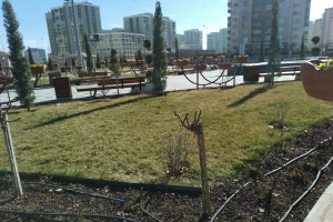 Ein Park voller Topfpflanzen und Bäume, umgeben von Gebäuden, Straßenlaternen, Strommasten, Stromkabeln und Kraftfahrzeugen auf der Straße, unter einem bewölkten Himmel.