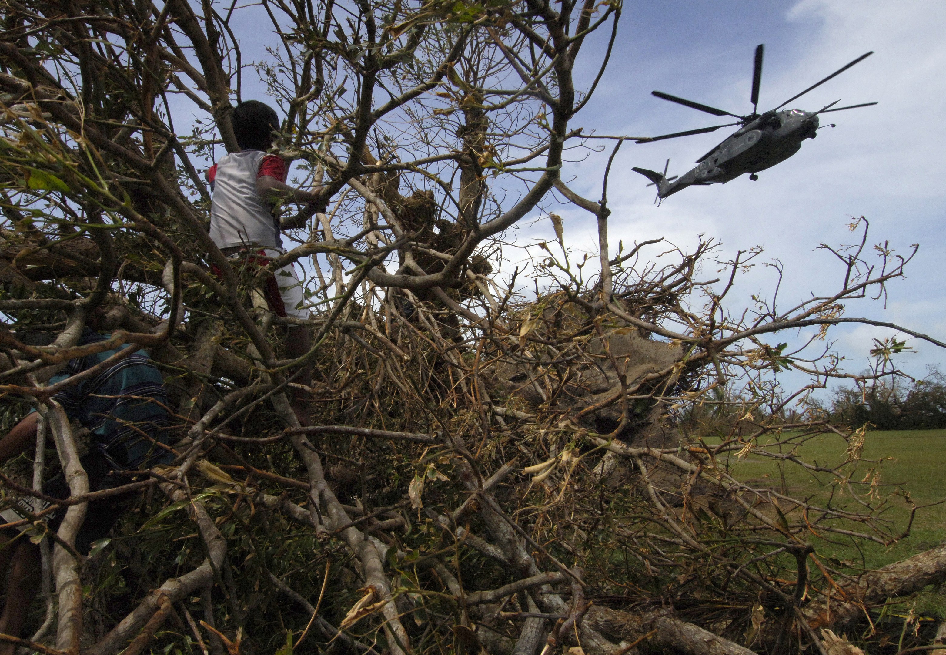 Ein Hubschrauber mit einem umgestürzten Baum darauf, mit zwei Personen daneben, auf einer grasbewachsenen Wiese mit Bäumen und Wolken im Hintergrund.