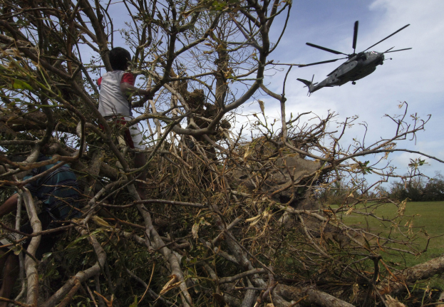 Ein Hubschrauber mit einem umgestürzten Baum darauf, mit zwei Personen daneben, auf einer grasbewachsenen Wiese mit Bäumen und Wolken im Hintergrund.