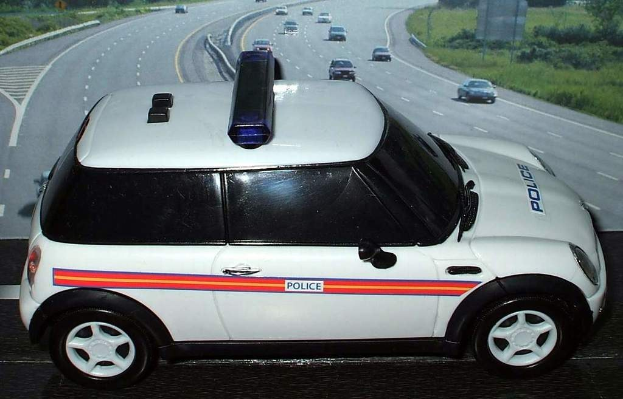 Weißer Polizeiwagen vor mehreren fahrenden Fahrzeugen auf einer Straße, die von Gras und Bäumen gesäumt ist.