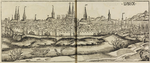 Offenes Buch mit einer detaillierten Illustration aus dem 16. Jahrhundert von Lwiw, Ukraine, das Gebäude, Bäume, Pflanzen, Wasser und umgebenden Text zeigt.