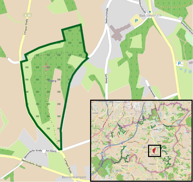 Stadtplan, der einen zentralen grünen Bereich als geplanten Baustandort markiert, mit umliegenden Stra├čen, Geb├Ąuden und Landmarken.