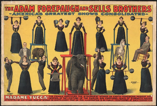 Plakat für das Adam Forepaugh und Sells Brothers Circus mit Performern auf Hockern und einem Elefanten in der Mitte sowie Werbetext.