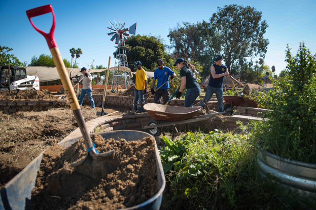 Eine Gruppe von Menschen, die mit Schaufeln in einem Garten arbeiten, umgeben von Pflanzen, Bäumen, einer Windmühle und einem Eimer Erde im Vordergrund.