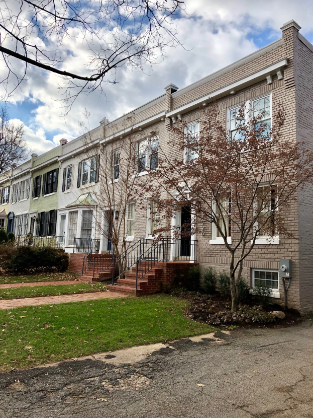Eine Reihe von Stadthäusern in einer Wohngegend mit einem Baum davor, mit Fenstern, Türen, Treppen mit Geländern und umgebenden Pflanzen, mit einer Straße unten und einem bewölkten Himmel im Hintergrund.