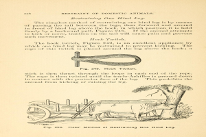 Ein altes Buch mit einer Zeichnung einer Kuh, die einen Wagen zieht, mit einem Baum im Hintergrund und der Inschrift "Tierhaltung" auf der Seite.