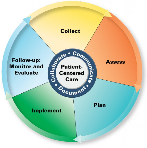 Kreisförmiges Diagramm mit der Überschrift "patientenorientierte Pflege" mit vier farbigen Abschnitten, die jeweils mit einer Pflegedarstellung beschriftet sind, auf einem weißen Hintergrund.